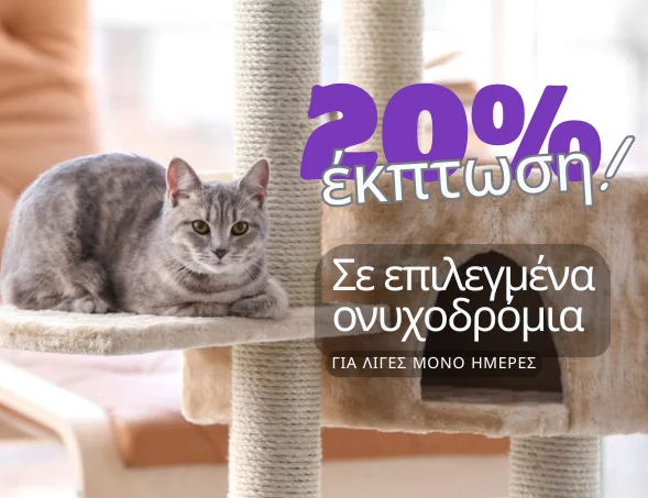 Top banner